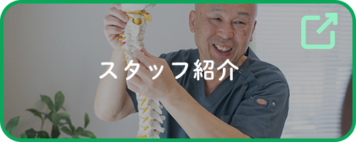 スタッフ紹介